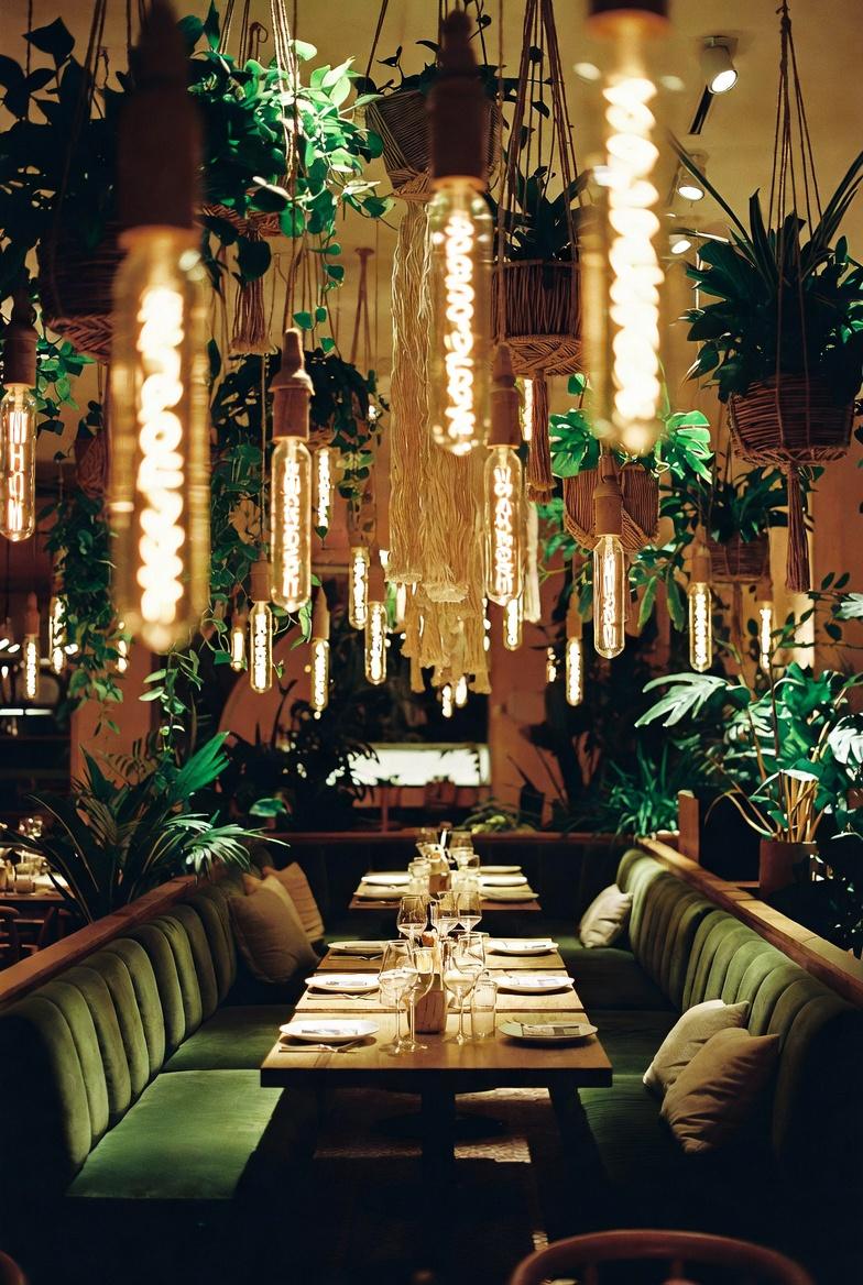 Salle Shareo — banquettes velours vert